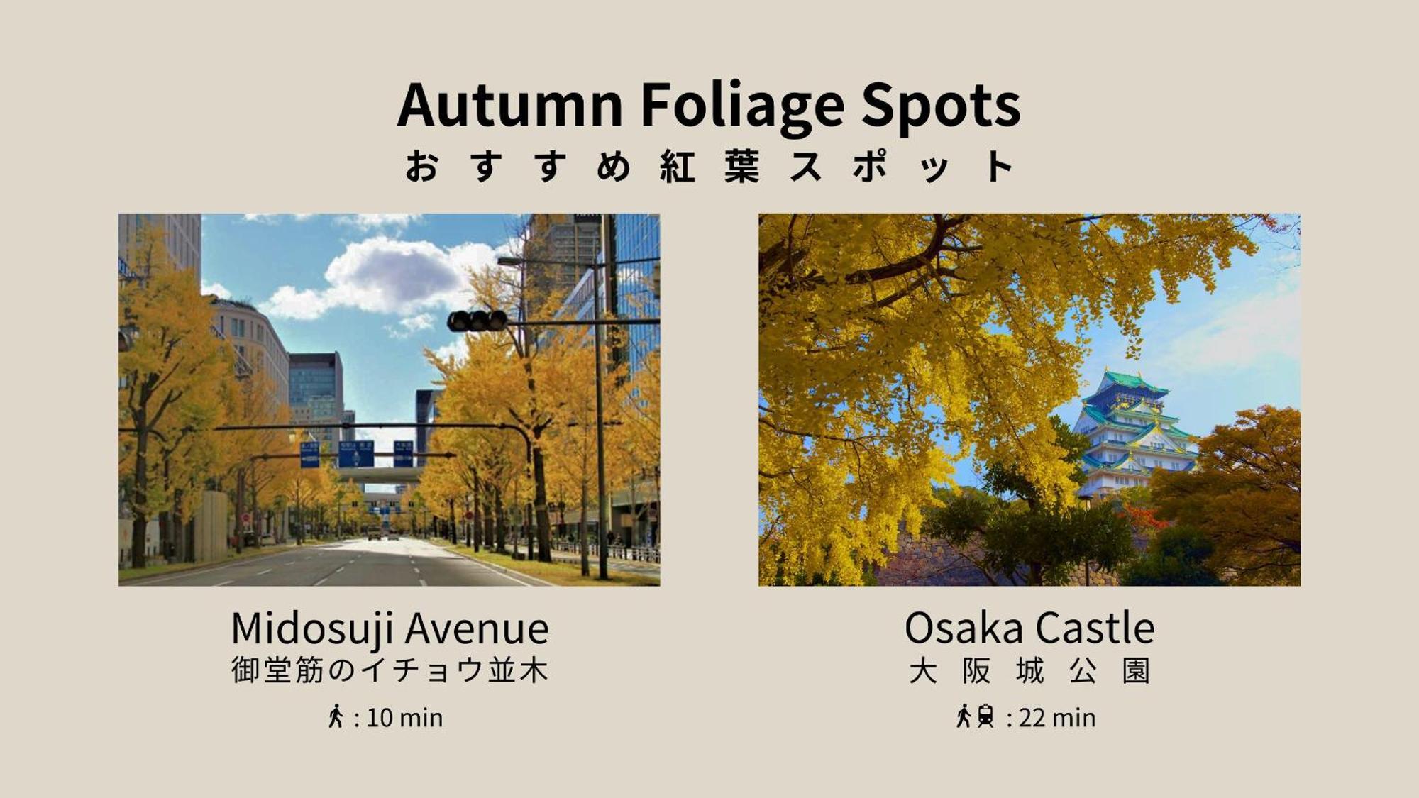 Bon Condo Namba Nipponbashi Osaka Luaran gambar